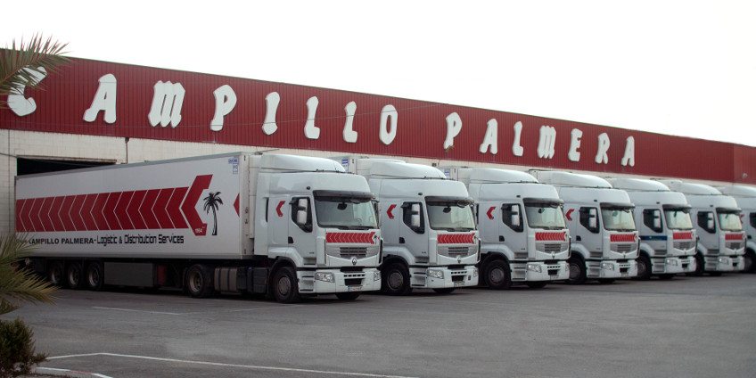 CampilloPalmera01